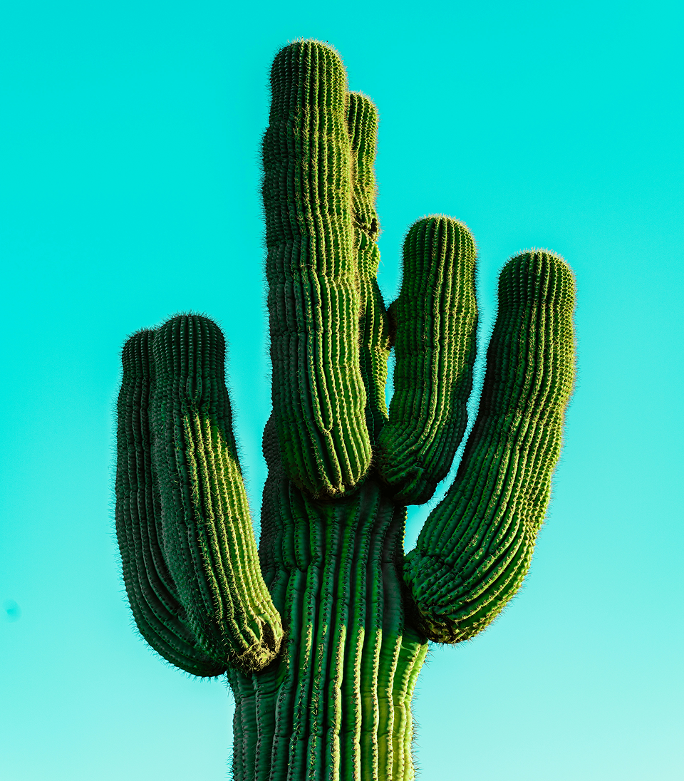 az